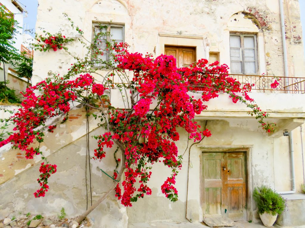 Koronos Naxos Greece