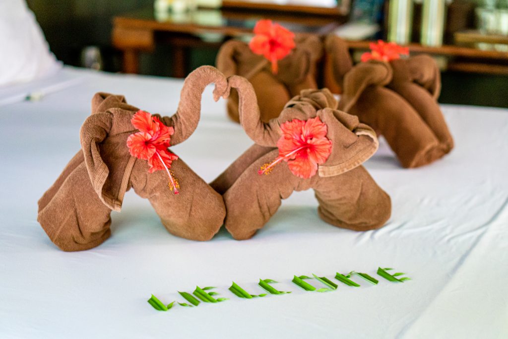 Elephant Hills Thailand