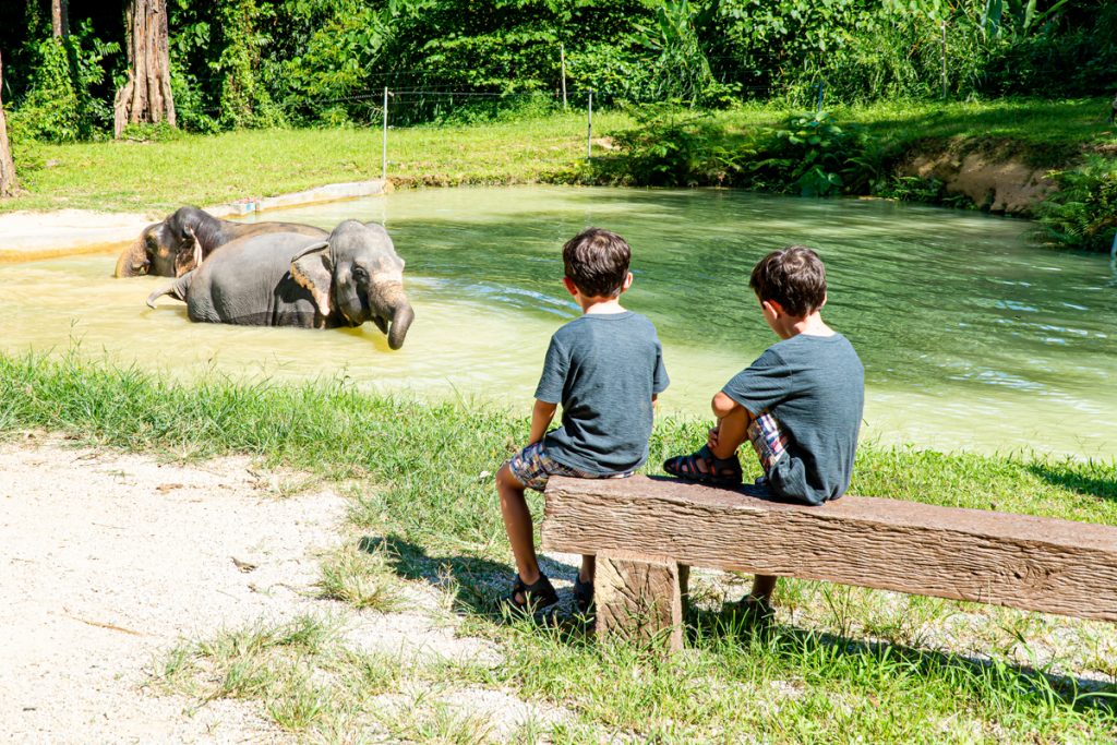 Thailand elephant resort