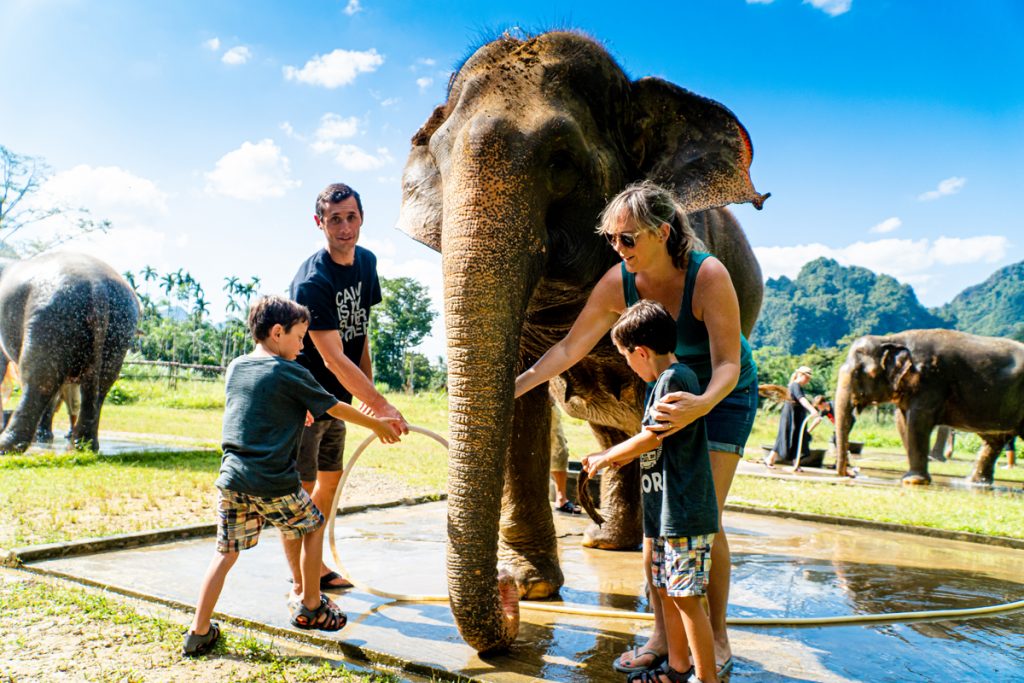 Thailand elephant resort