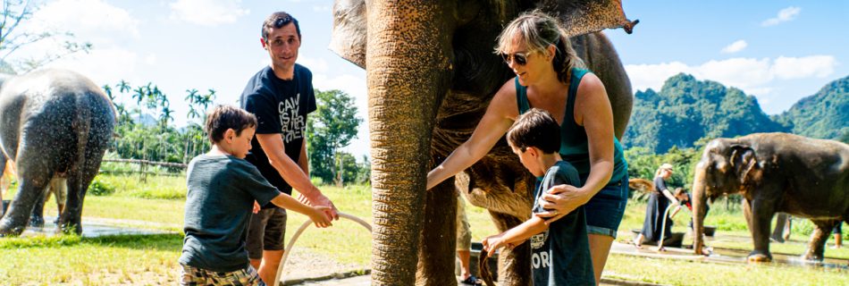 Thailand elephant resort