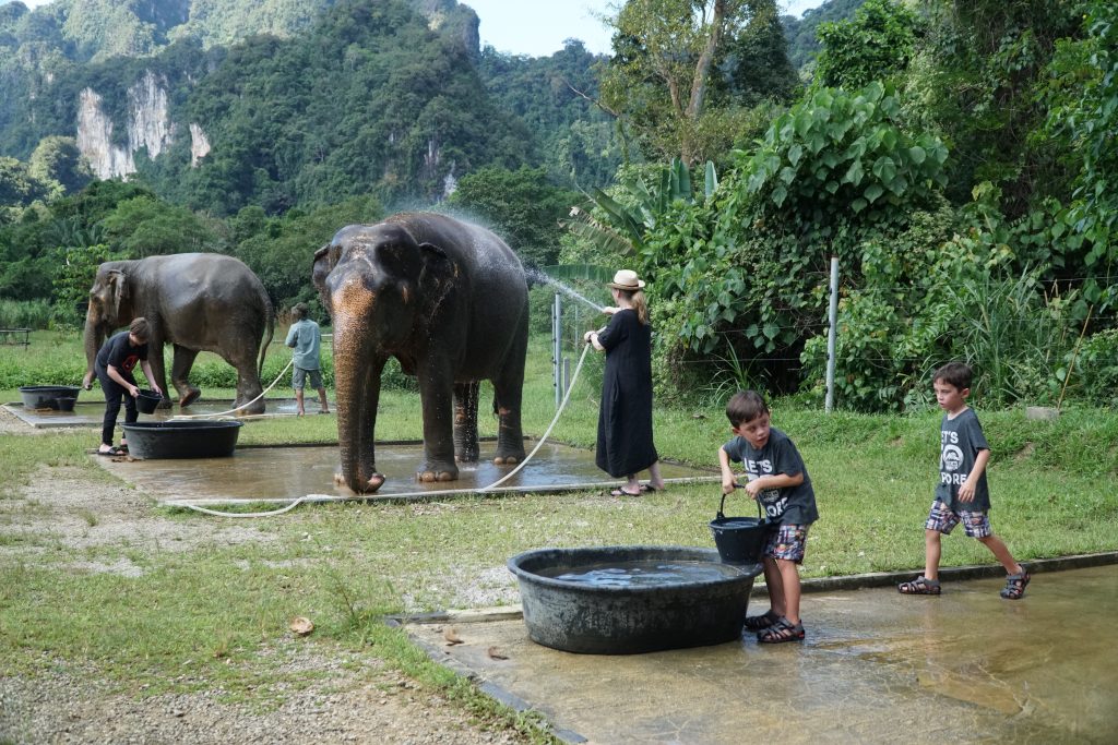 Thailand elephant resort