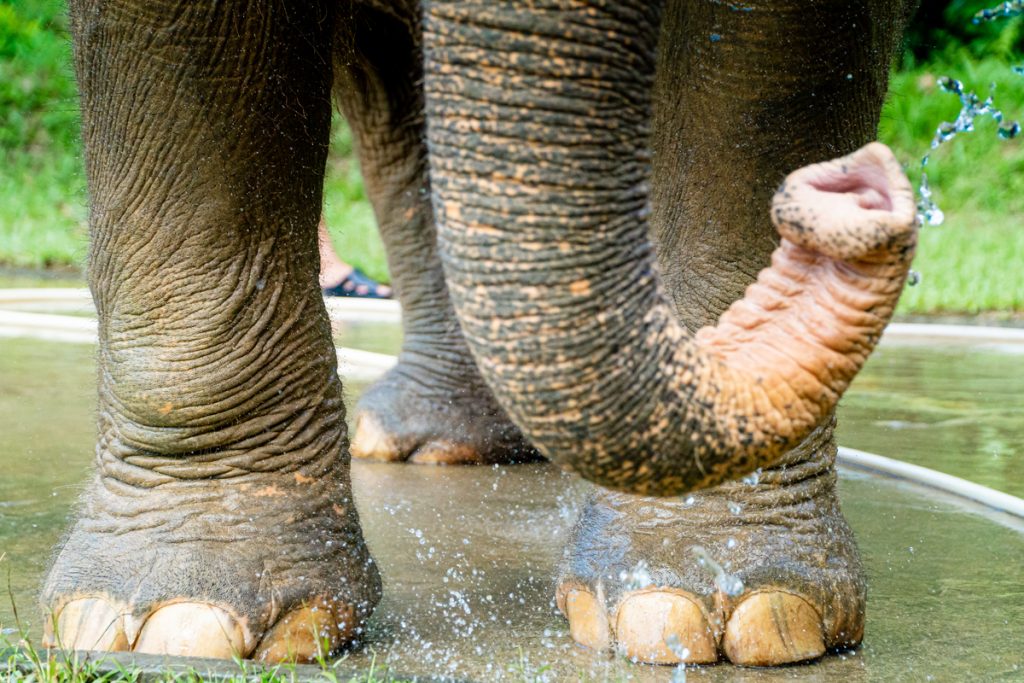Elephant Hills Thailand