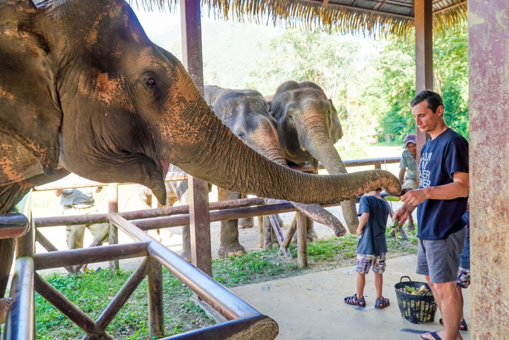 Thailand elephant resort