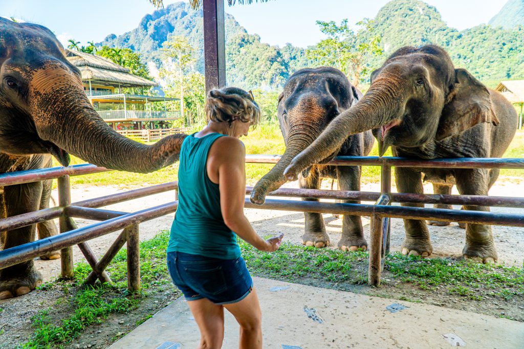 Thailand elephant resort