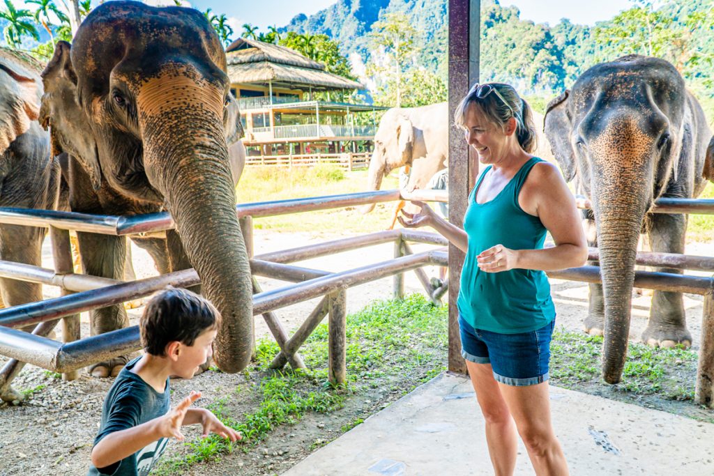Thailand elephant resort