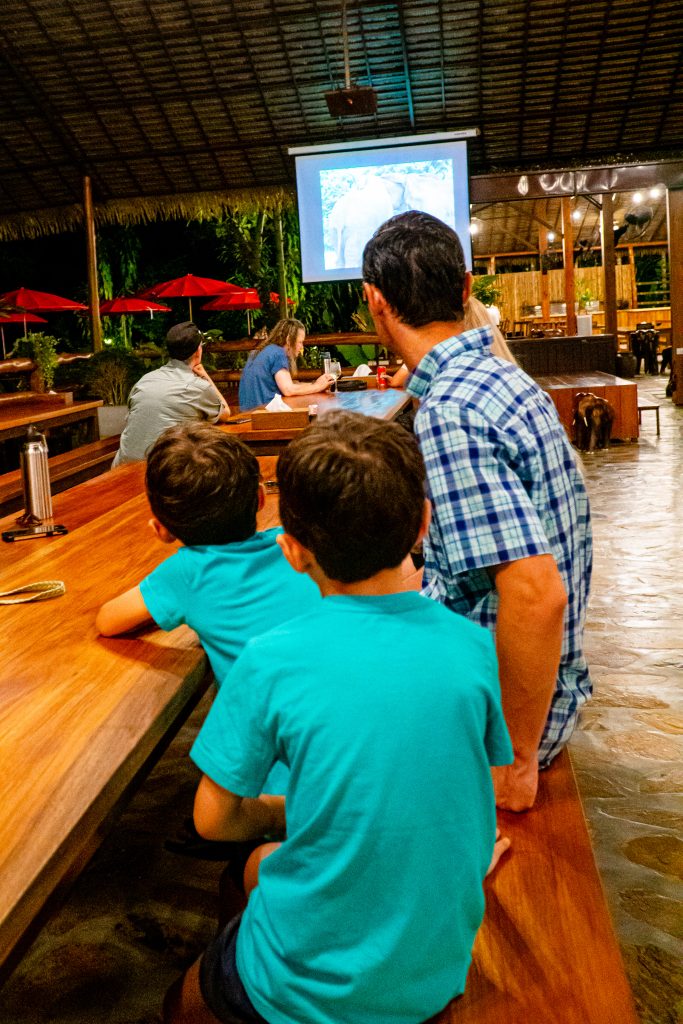 Thailand elephant resort