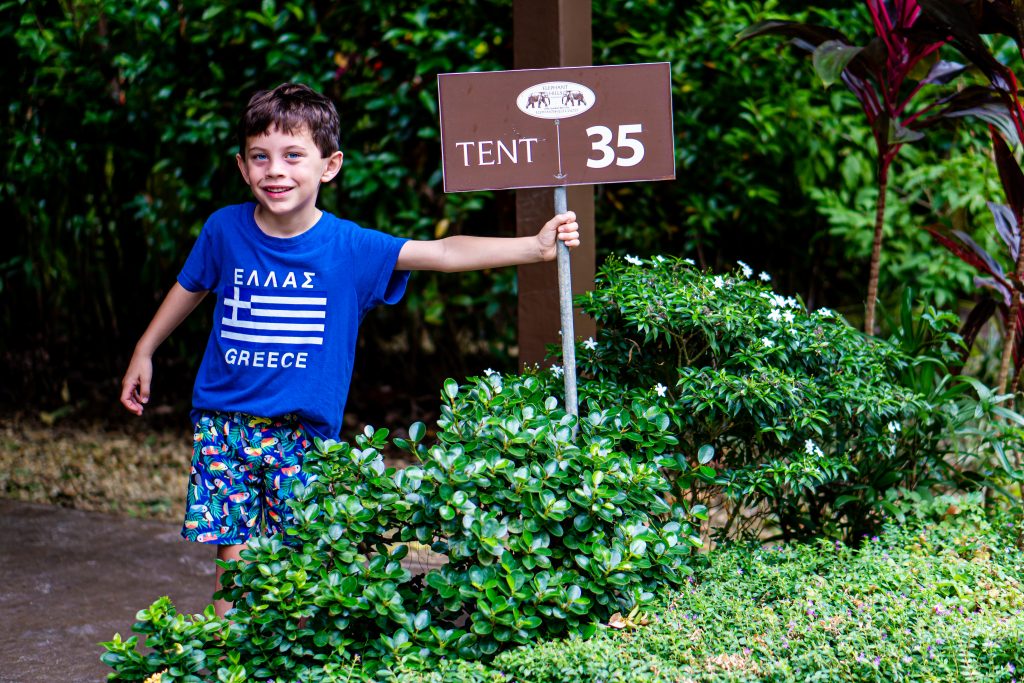 Thailand elephant resort