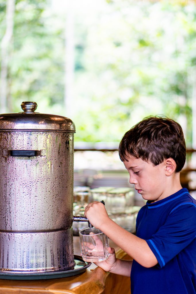 Thailand elephant resort