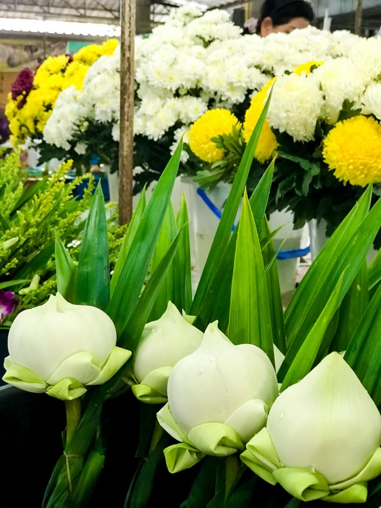 Elephant Hills Thailand