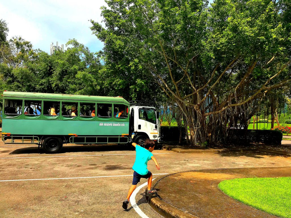 Thailand elephant resort